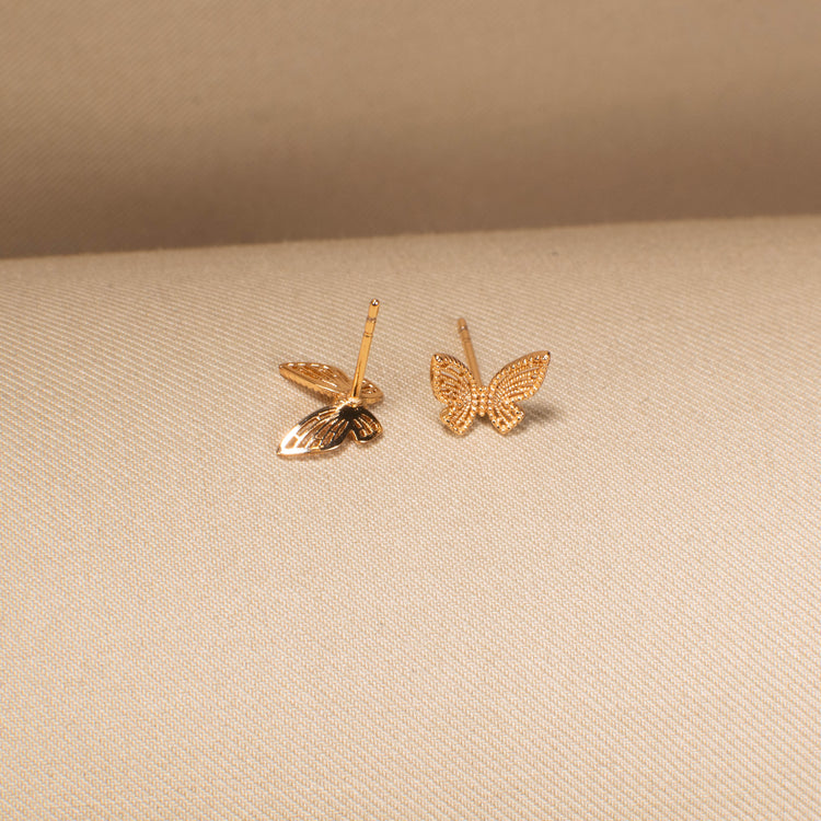 Sunlit Moth Studs