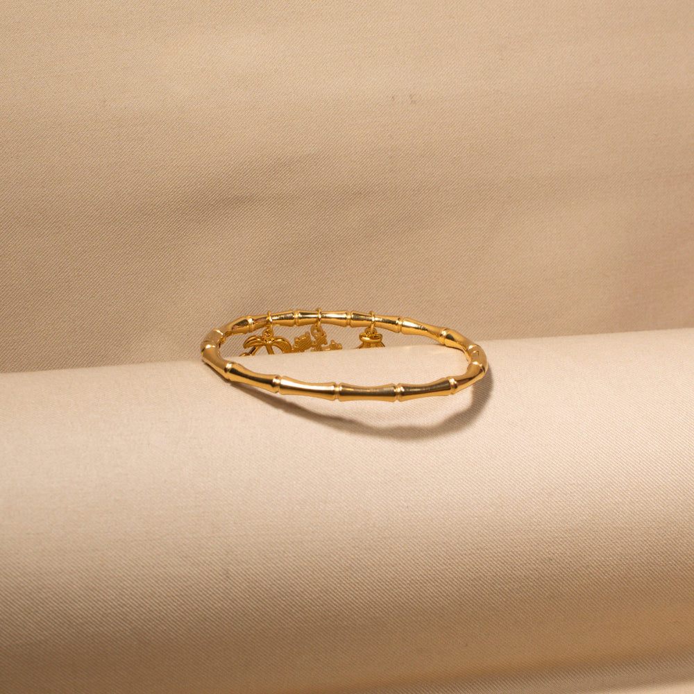 Island Glow Charm Bangle