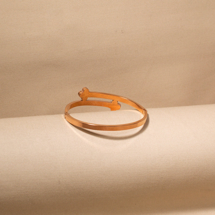 Lucky Spectrum Bangle