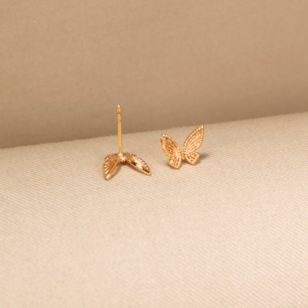 Sunlit Moth Studs